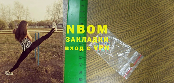 spice Дмитриев