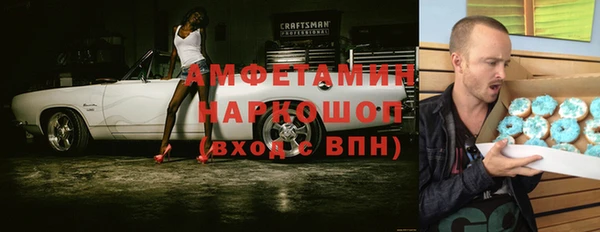 spice Дмитриев