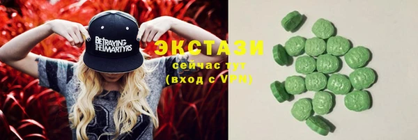 spice Дмитриев
