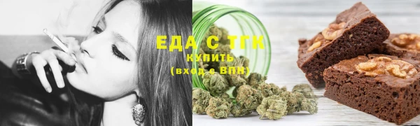spice Дмитриев