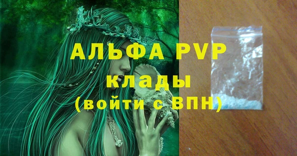 дмт Дмитров