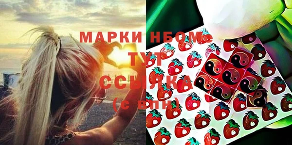 spice Дмитриев