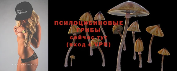 spice Дмитриев