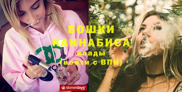 spice Дмитриев