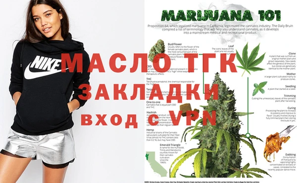 дмт Дмитров