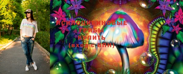 дмт Дмитров