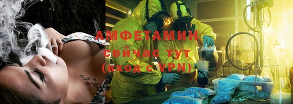 spice Дмитриев