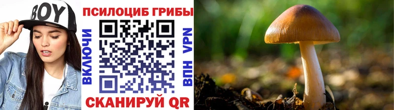 Галлюциногенные грибы прущие грибы  Купить  Каменногорск 